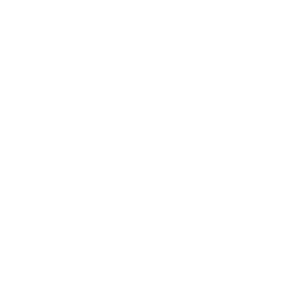 logo anahi
