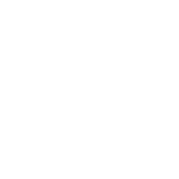 logo rumore