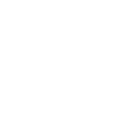 logo song qi