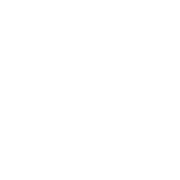 logo tiny thai