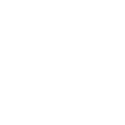 logo zeffirino