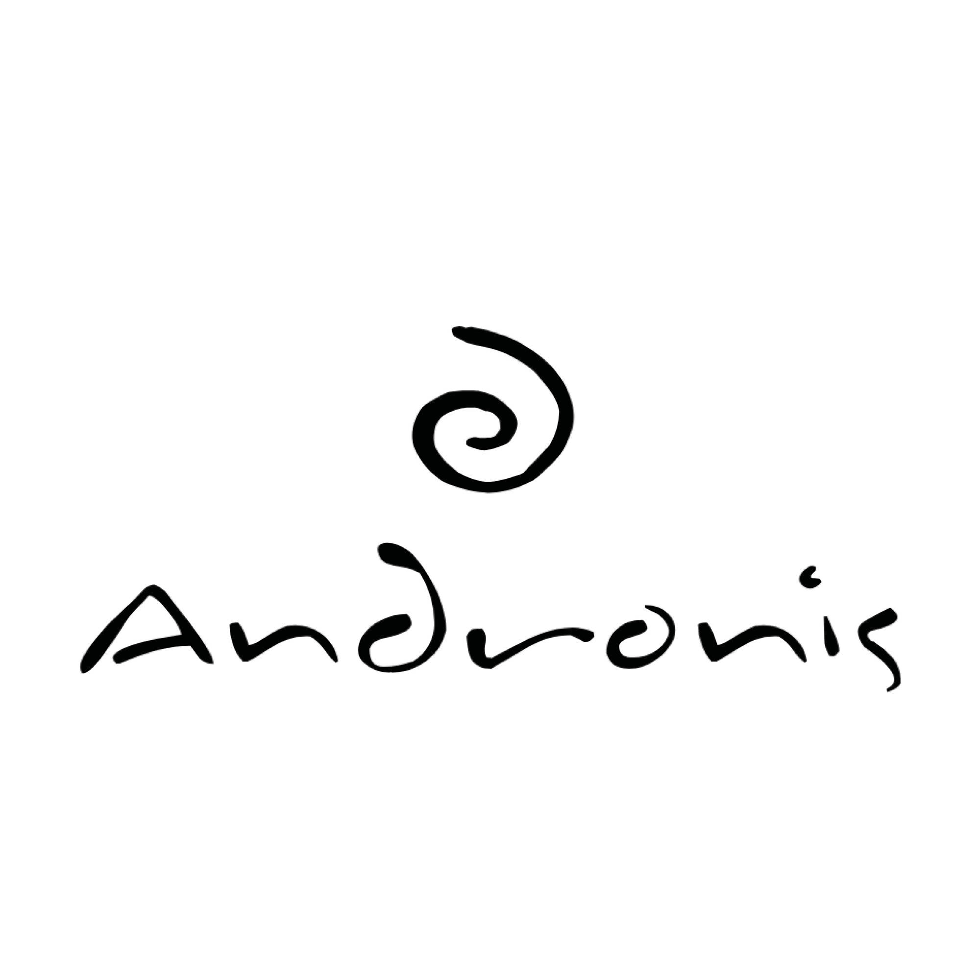 logo andronis hotel